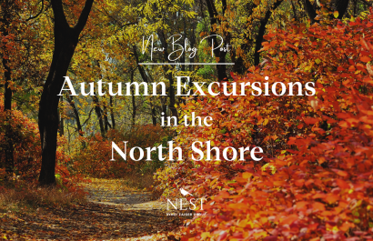 Autumn Excursions in the North Shore
